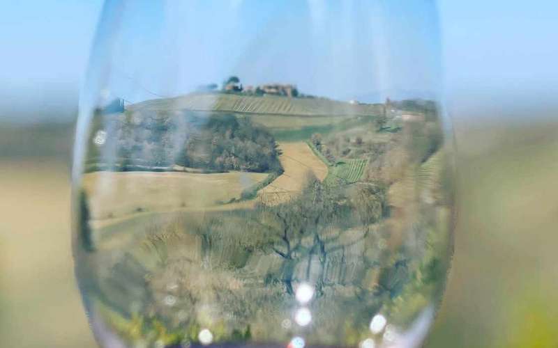 Montepulciano-i borkóstolós túra: Vino Nobile és hat címke