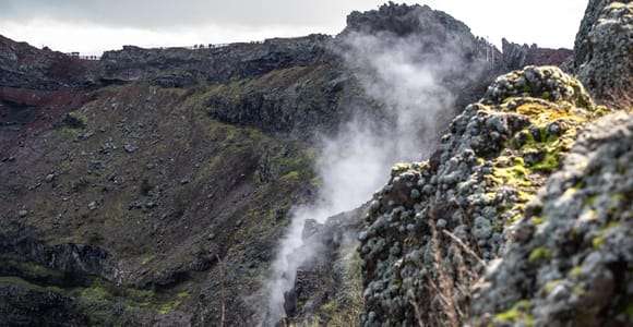 Desde Nápoles: Pompeya y el Vesubio: excursión de un día con guía y almuerzo