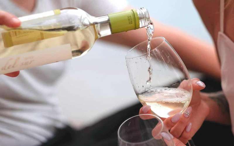 Trani Wine Tours: Flavors of Puglia