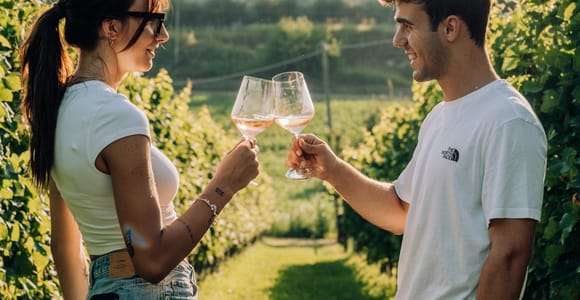 Lake Garda: Wine and Food Tastings in the Vineyards