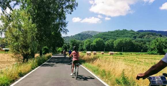 Lucca: Tour guidato in bicicletta sulle Strade del Vino