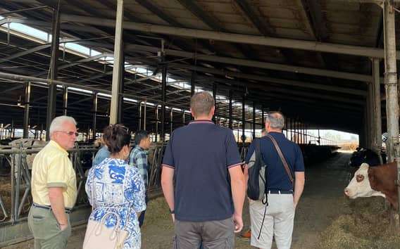 Modena/Bologna: Ferrari, Lambo, Käse, Essig Tour mit Mittagessen