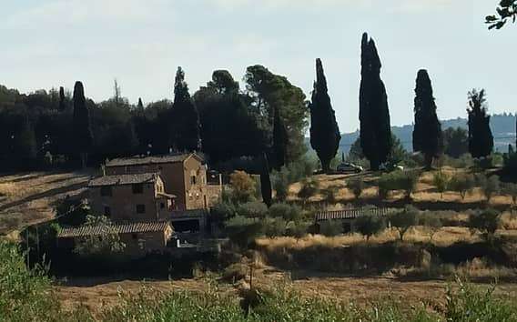 Prywatna wycieczka z Livorno do Pizy i Florencji