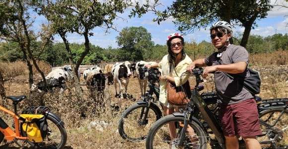 Puglia: Äventyr med elcykel och vinprovning av Primitivo
