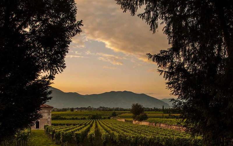 Franciacorta borászati túra Bergamóból: ebéd és kisbusz
