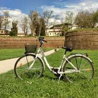 Lucca: Alquiler de un día de bicicleta urbana