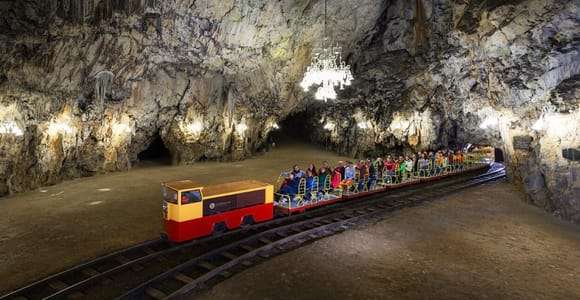 Koper : grotte de Postojna avec trajet en train - excursion en groupe