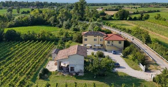 Portogruaro: Promenad i vingården och provsmakning med Le Crede