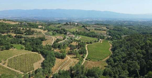 Arezzo: Besuch des Weinguts und Verkostung von 4 Weinen