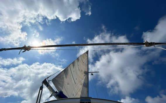 Palermo: excursão de 1 dia de barco para mergulho com snorkel com almoço e vinho