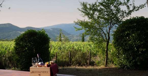 Weingut Buccia Nera: Picknick, Weinberg, Wein, Essen und Natur