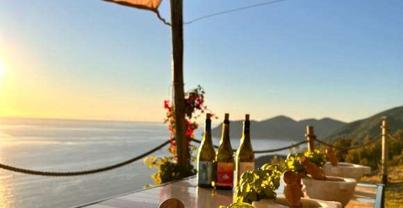 Volastra: BarCa Weinverkostung in Cinque Terre und Pesto-Kurs