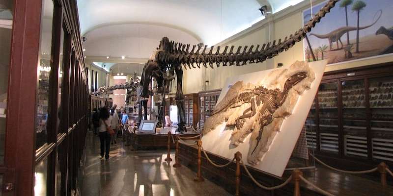 Muzeum Paleontologii i Geologii "G. Capellini"