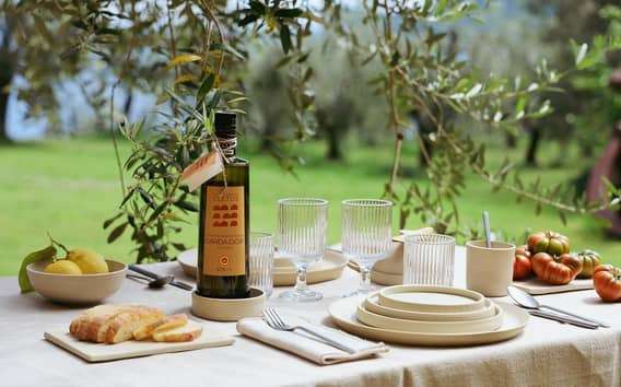 San Felice: Degustazione di olio d'oliva con cibo locale sulle colline del Garda
