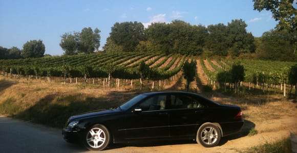 Visite d'une jounée avec dégustation de vins de Montefalco et de Bevagna