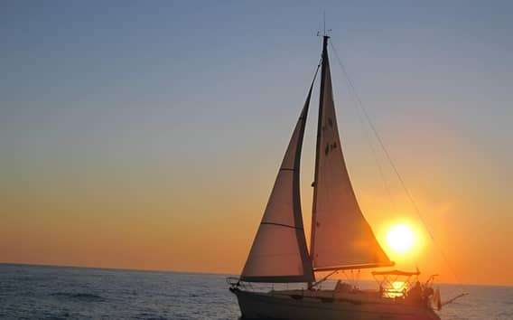 Bari: Crucero de medio día en velero para buscar delfines con merienda