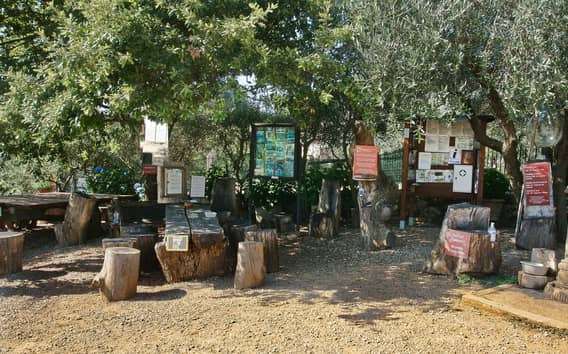 Sienne : randonnée guidée d'une demi-journée à Monteriggioni