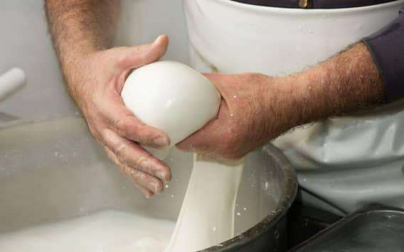 Mozzarella in fattoria in Puglia, dal casaro