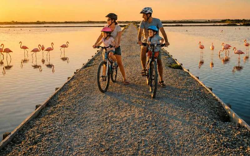 Comacchio: Naplementés e-bike túra a Pó-deltában flamingókkal