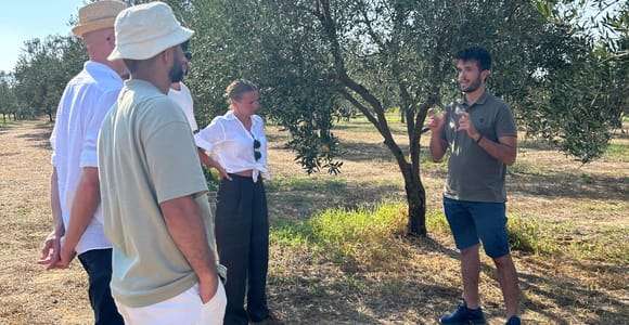 Balestrate: Visita al olivar con cata de vinos y aceite de oliva