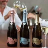 Franciacorta: visita à vinha, adega e degustação Edea To