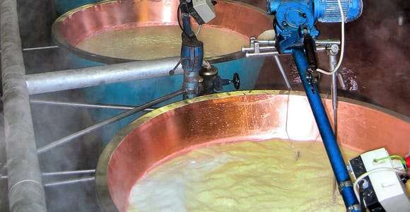 From Parma: Parmesan, Parma Ham & Balsamic Vinegar Tour
