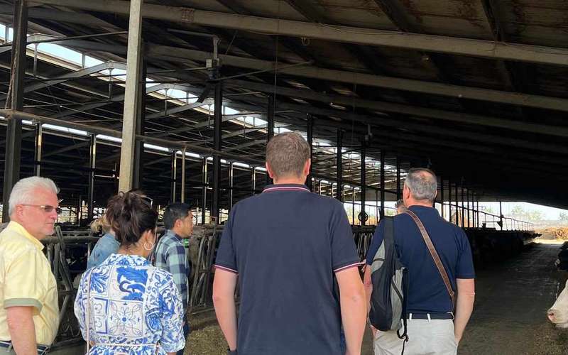 Modena és Bologna: Ferrari, Lamborghini, sajt- és balzsamecetkóstoló ebéddel