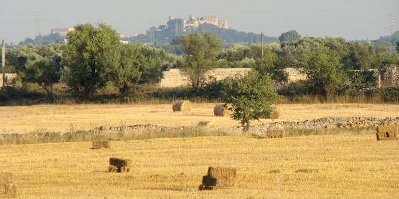 Tierra de Brindisi