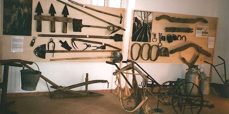 Muzeum-laboratoř venkovské civilizace "Masseria Luce"