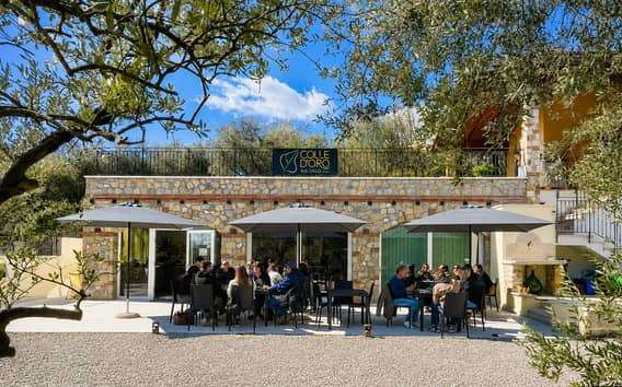 Aperitief tussen olijfbomen aan het Gardameer met olijfolie
