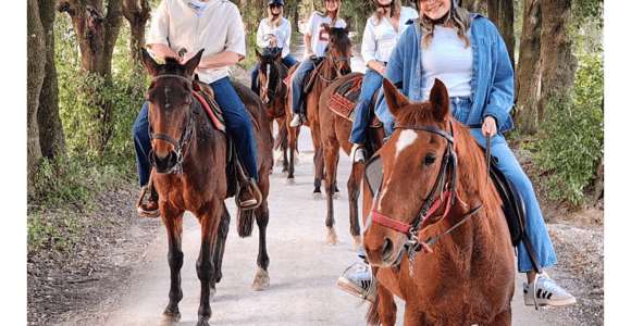 Siena: Excursión a caballo por la campiña de Siena