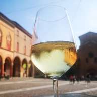 Wijnwandeling Bologna met sommelier langs enoteca's en osteria's