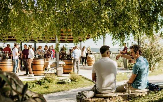 Cata de vino Malvasía de cuatro suelos en Cattunar