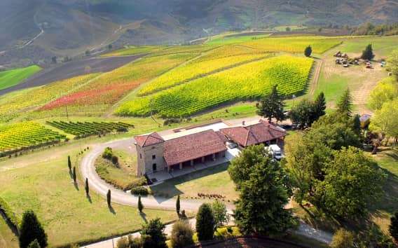 Tenuta Bonzara - Tour und Weinverkostung in den Colli Bolognesi