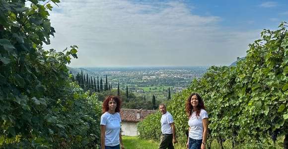 Brescia: excursión de un día a Botticino con cata de vinos en Noventa