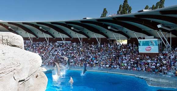 Riccione: Biglietto d'ingresso al Parco Oltremare