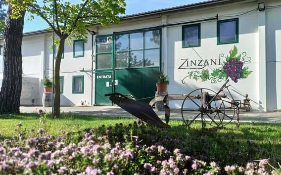 Weintour bei Faenza: Weinberge, Keller und Fassproben