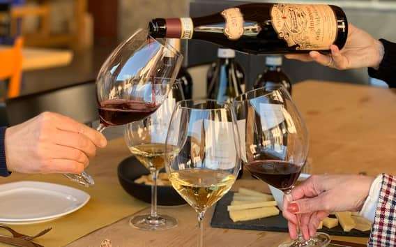 Valpolicella: visita guiada a la bodega de 1,5 horas con degustación de vinos
