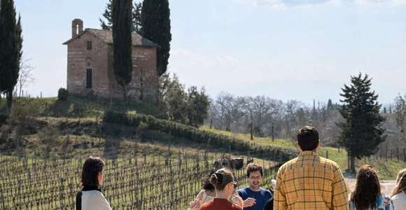Siena: visita a una bodega, cata de vinos y almuerzo
