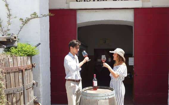 Salento: Winery Tour en proeverij