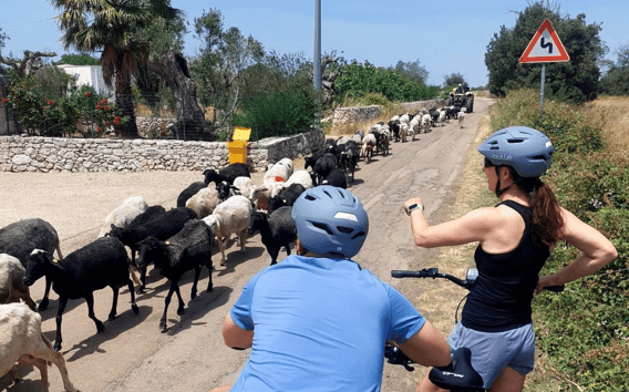 Lecce: E-Bike výlet do Galatiny s olivovým lisem a ochutnávkou vína