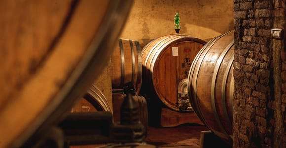 Montalcino: Prohlídka hradu a vinic s degustací