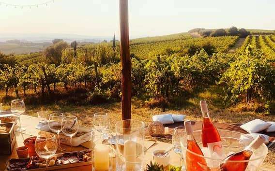 Degustace bio vín na vinici Colle Acacia u Cortony