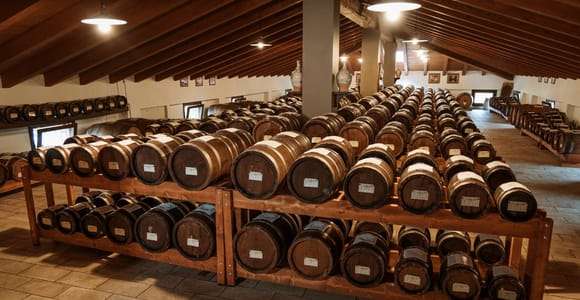 Modena: guided visit of the vinegar cellar and Balsamic Vinegar food tasting