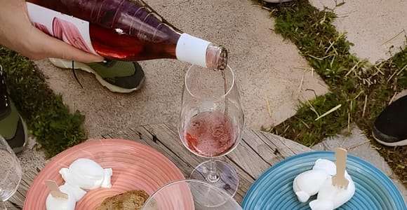 Pouilles/Bari : Une expérience à vélo parmi les vignobles et les caves à vin