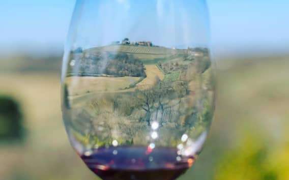 Degustace vína v Montepulcianu ve vinařství Valiano