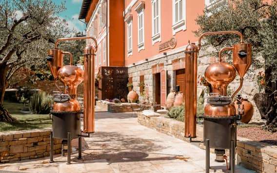 Destilería Aura en Buzet: visita con licores y tabla