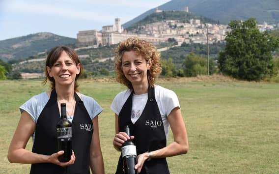 Weinverkostung und Mittagessen bei Assisi mit Weinbergspaziergang