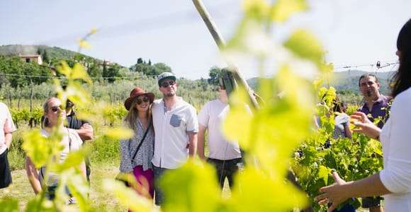 Castiglion Fiorentino: Buccelletti Wein Tour & Verkostung