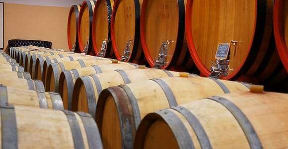 Z Sieny: Vinařská prohlídka Brunello di Montalcino s obědem